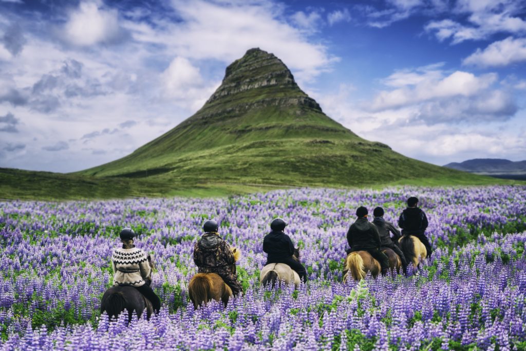 Paardrijden Ijsland Rob Land Reizen